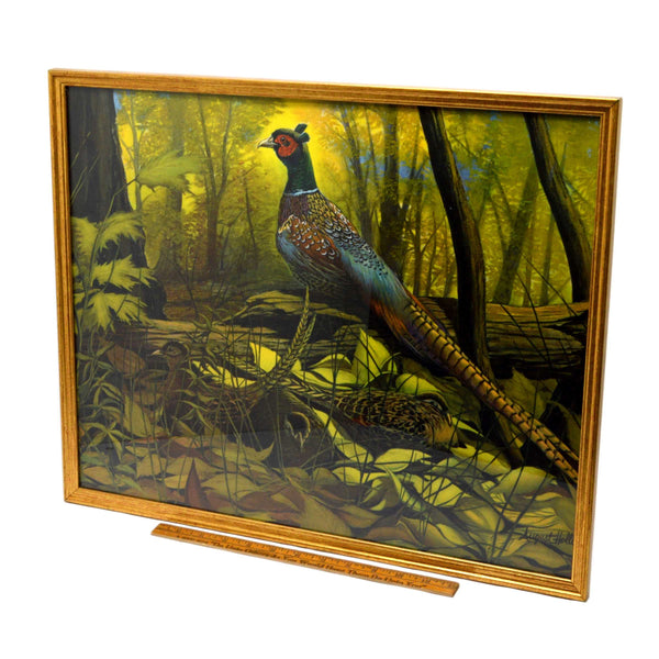 Vintage "AUGUST HOLLAND" FRAMED LITHO PRINT Pheasant in Nature "G.P. 18508" Nice