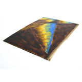 Antique SALESMAN SAMPLE(?) Painted Tile/Panel "COLUMBIAN ART METAL WORKS" (1of8)