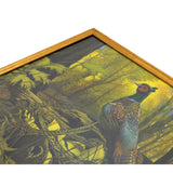 Vintage "AUGUST HOLLAND" FRAMED LITHO PRINT Pheasant in Nature "G.P. 18508" Nice