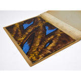 Antique SALESMAN SAMPLE(?) Painted Tile/Panel "COLUMBIAN ART METAL WORKS" (3of8)