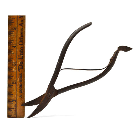 Antique "H.& J.W KING" SHEARS Scissors SNIPS w/ LOBSTER-CRAB-OYSTER Multi-Tool?