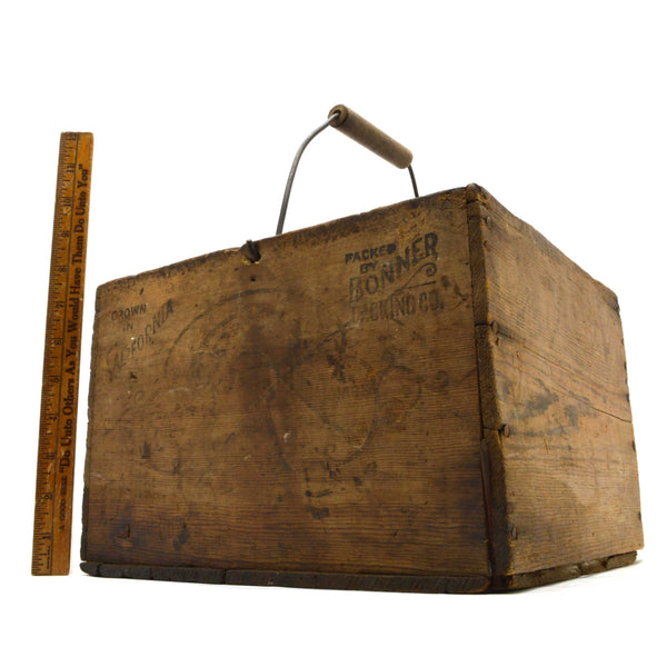 Vintage WOODEN FRUIT CRATE w/ Rare Handle "BONNER'S SEEDLESS RAISINS" California