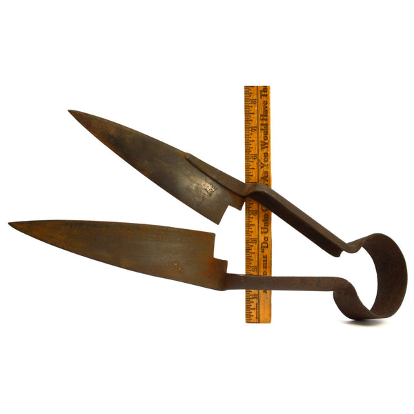 Antique IRON SHEEP SHEARS Illegible/Parital CROWN LOGO ENGLAND? Primitive c.19th