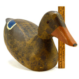 Vintage WOODEN DUCK DECOY Unsigned HAND-CARVED Hand-Painted GLASS EYES Folk Art?