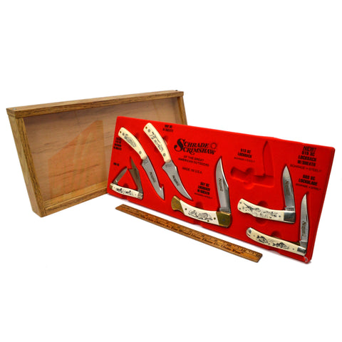 Vintage SCHRADE SCRIMSHAW KNIFE DISPLAY with 6 of 7 ORIGINAL KNIVES c.1989 Rare!