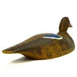 Vintage WOODEN DUCK DECOY Unsigned HAND-CARVED Hand-Painted GLASS EYES Folk Art?