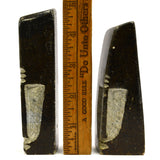 Pair of SHONA AFRICAN SCULPTURES Signed "TAWANDA" MAKORE Zimbabwe CARVED STONE