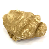 Ancient GANDHARA/GANDHARAN STUCCO HEAD Bodhisattva/Buddha? CARVED STONE Artifact