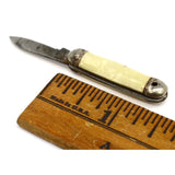 Vintage MINIATURE POCKET KNIFE 1-3/8" w/ 7/8" Blade MOTHER OF PEARL SCALES Japan