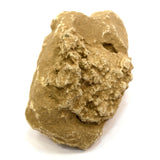 Ancient GANDHARA/GANDHARAN STUCCO HEAD Bodhisattva/Buddha? CARVED STONE Artifact