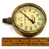 Vintage HODGMAN MFG. CO. WATER GAUGE 3.75" Brass & Glass 0-250 (PSI?) STEAMPUNK!