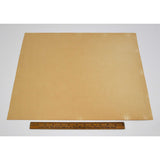 Antique "JOHN J. AUDUBON" LITHO PRINT Framed "CAROLINA PIGEON or TURTLE DOVE"