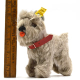 Vintage STEIFF "TESSIE" SCHNAUZER DOG 5" Gray Hair RED COLLAR w/ EAR TAG #320/14