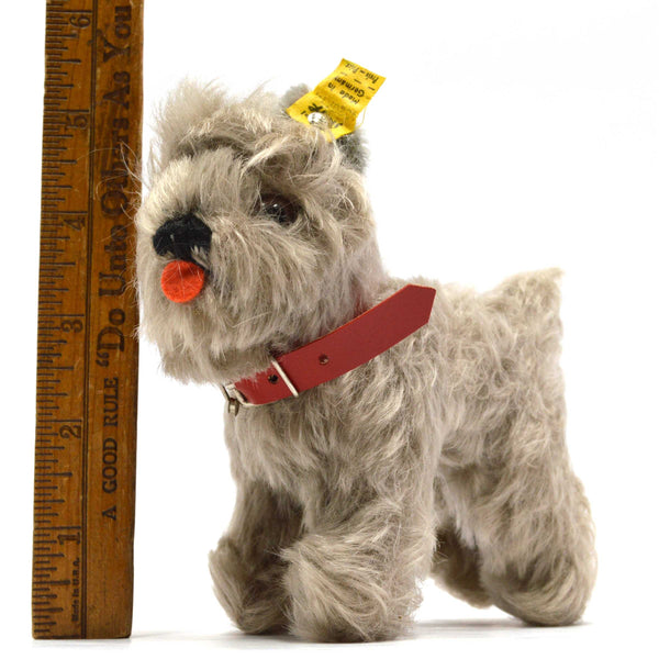 Vintage STEIFF "TESSIE" SCHNAUZER DOG 5" Gray Hair RED COLLAR w/ EAR TAG #320/14