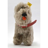 Vintage STEIFF "TESSIE" SCHNAUZER DOG 5" Gray Hair RED COLLAR w/ EAR TAG #320/14