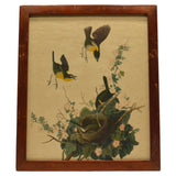 Antique "JOHN J. AUDUBON" LITHO PRINT 16x19 Framed "YELLOW-BREASTED CHAT" No. 28