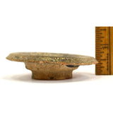 Ancient TERRACOTTA POTTERY VESSEL LID (Only) Heavy Iridescence! PRE-COLUMBIAN?