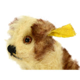 Vintage STEIFF "MOLLY" YOUNG DOG #3310,00 BROWN & WHITE 3" Sitting SWIVEL HEAD!
