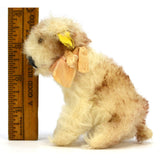 Vintage STEIFF "MOLLY" YOUNG DOG #3310,00 LT. TAN & WHITE 3" Sitting SWIVEL HEAD