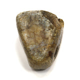 Ancient NEAR EAST STEATITE CONOID SEAL STAMP Tel Megiddo? DOG/CAT/HYENA Animal