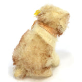 Vintage STEIFF "MOLLY" YOUNG DOG #3310,00 LT. TAN & WHITE 3" Sitting SWIVEL HEAD
