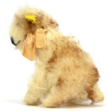 Vintage STEIFF "MOLLY" YOUNG DOG #3310,00 LT. TAN & WHITE 3" Sitting SWIVEL HEAD