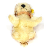 Vintage STEIFF "MOLLY" YOUNG DOG #3310,00 LT. TAN & WHITE 3" Sitting SWIVEL HEAD