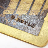 Antique PHOTO PRINT & GLASS NEGATIVE (5x8") of JOHN ROYLE & SONS BUILDING c.1855