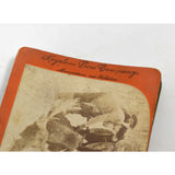 Antique STEREOSCOPE CARD Lot of 8 MIXED STEREOVIEWS Moose Hunt GOLD RUSH Maypole